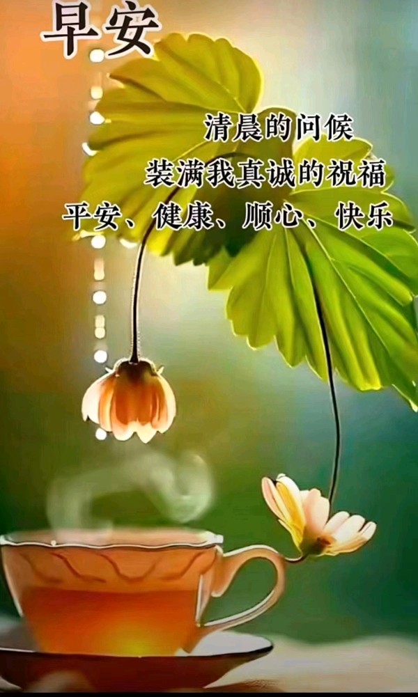 作者:唐长青(乐翻天)《读报写诗再相聚 师友教诲永难忘》(专辑)10864期~新京都文艺(图6)