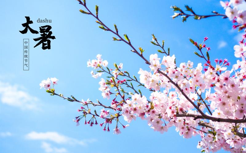 【中华好诗词】分享（贵州安顺）优秀诗人马呼文老师大暑三首请欣赏（图5）