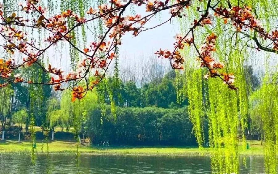 武汉：张维清新诗五首/中华诗艺社黑龙江分社推荐（图10）