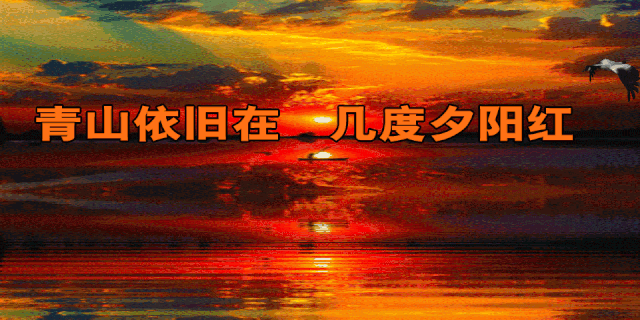 古风长韵-寿面香茗庆诞辰～诗||真诚（哲林）（图13）