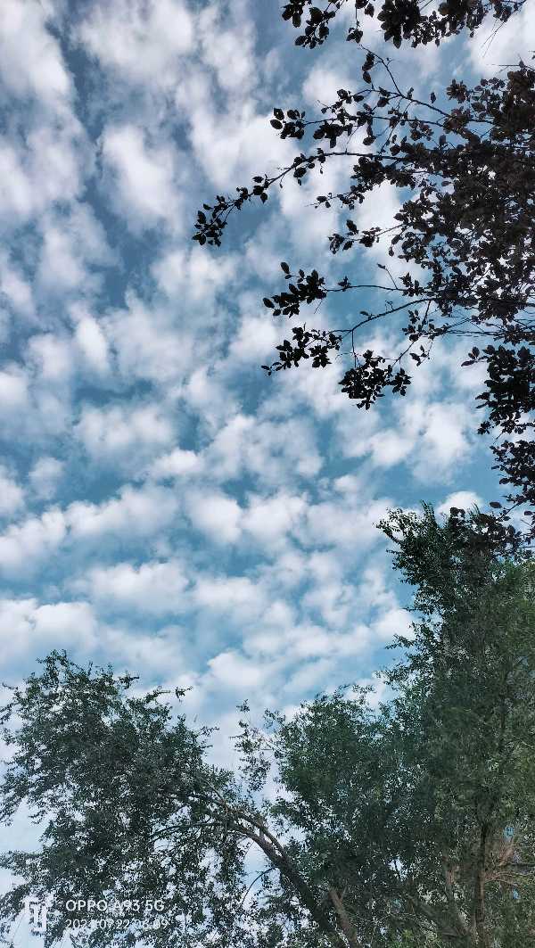 节气·大暑（图2）