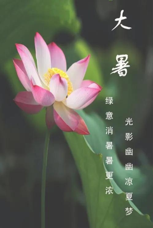 大暑诗词/中华诗艺社黑龙江分社推荐（图5）