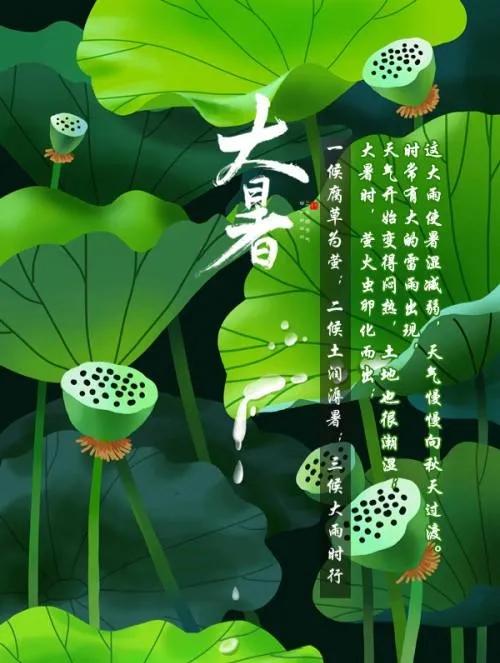 大暑诗词/中华诗艺社黑龙江分社推荐（图9）