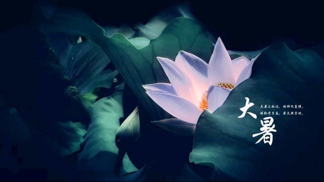 《九江文学社：北京头条》《甲辰大暑节气》专刊（图6）