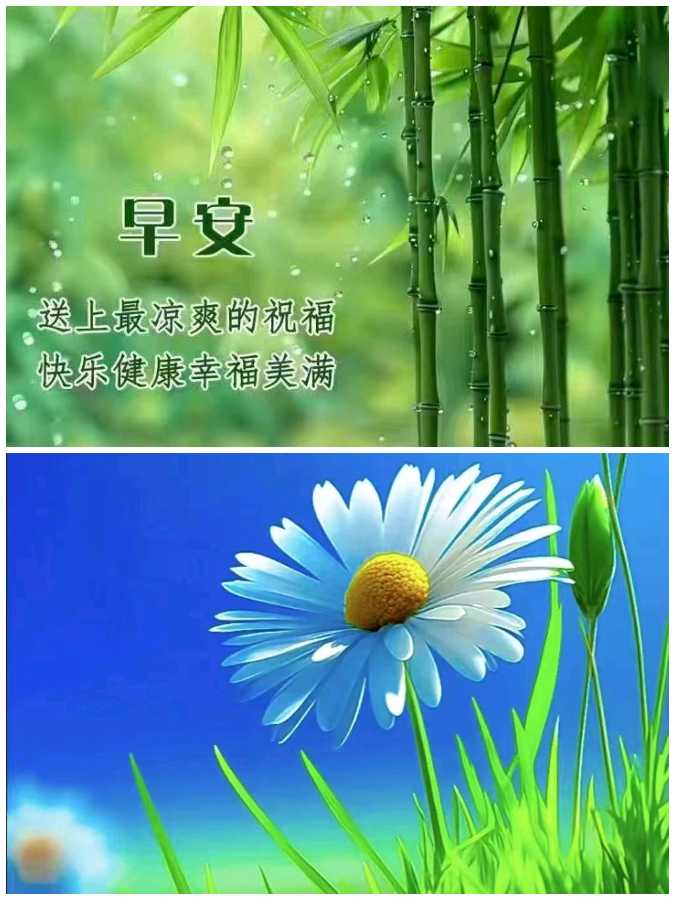 【重磅推出】鲁坡//老戎矢志忠贞保[红尘烟火怀眷恋]（图5）
