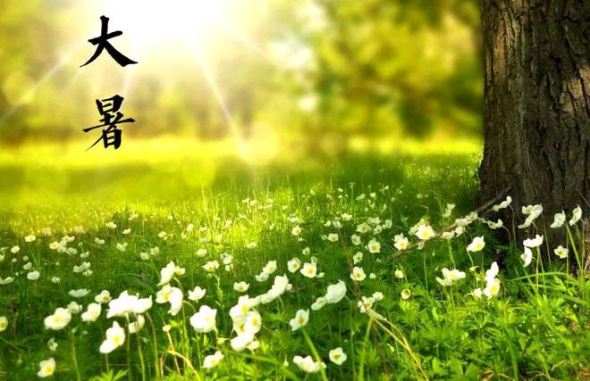……大暑时节，诗五首……（图3）
