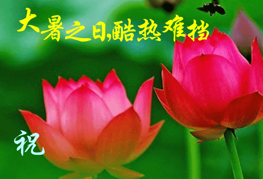 《海风新品诗词赏析》作者:海风 配乐:《诗画音乐》 [中国现代诗歌文化传媒]（图6）