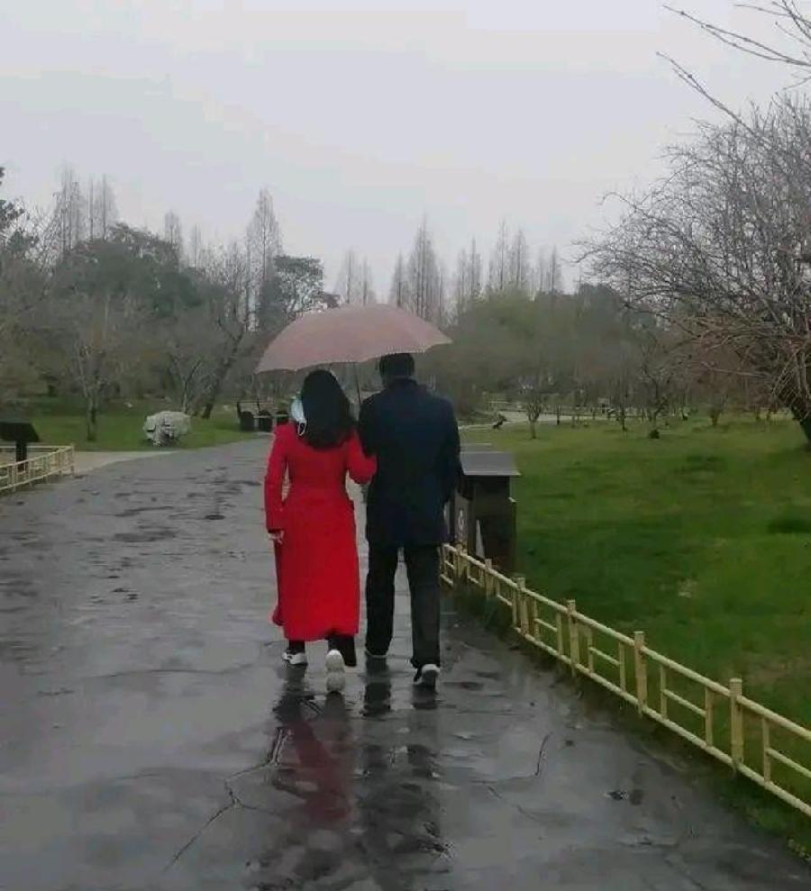 【国风燕赵诗社】云南优秀诗人何平军诗词专辑（三）（图16）