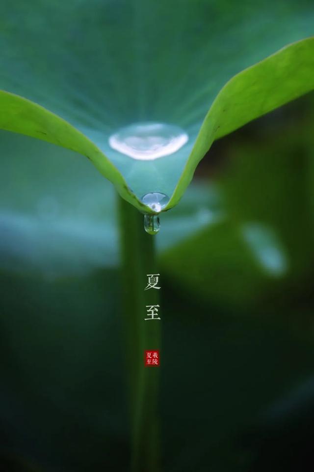 【国风燕赵诗社】云南优秀诗人何平军诗词专辑（三）（图18）