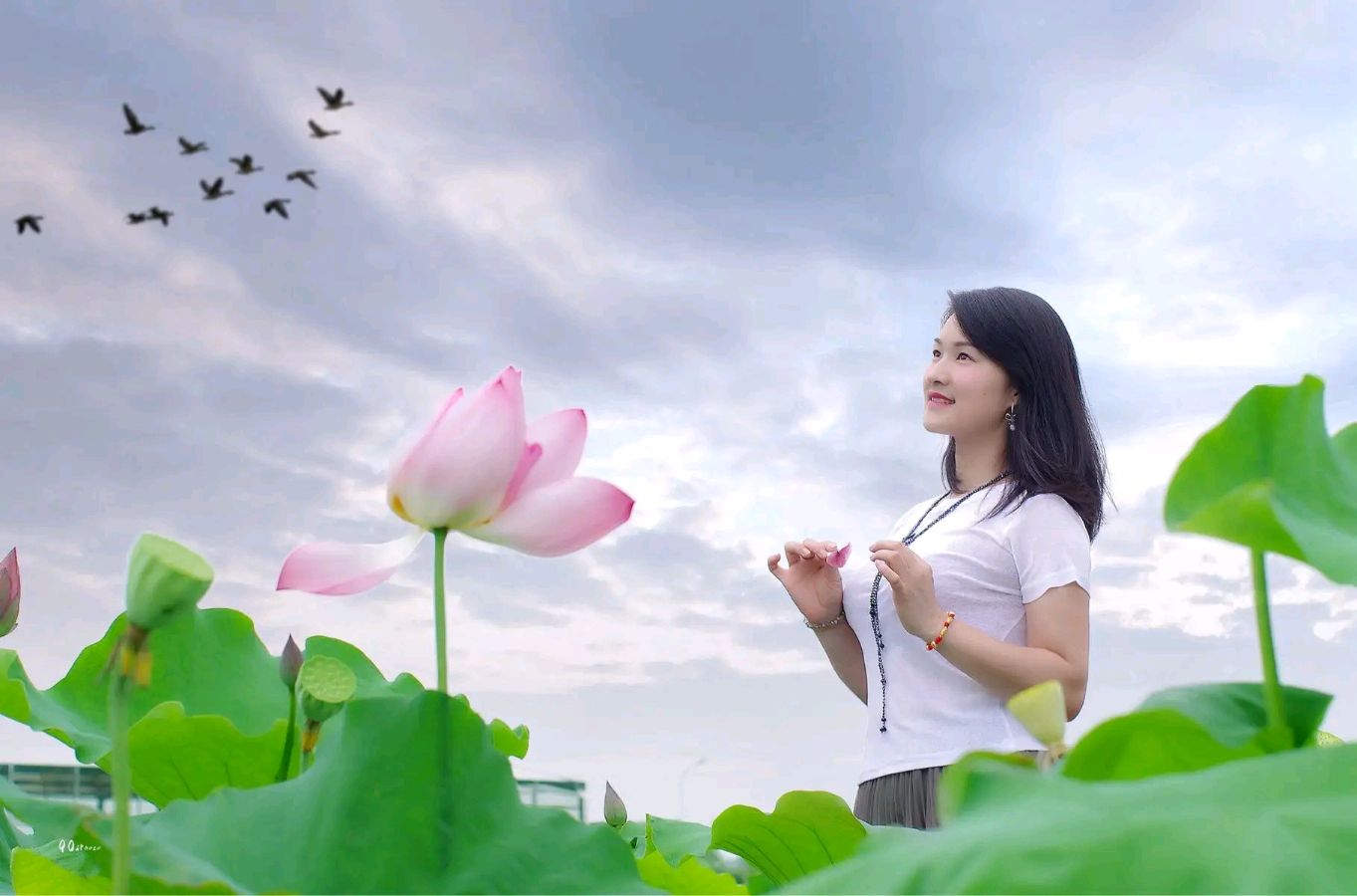 荐赏:大暑吟//文/米义勇（四川成都）//【华夏文坛】征稿//都市头条（图3）