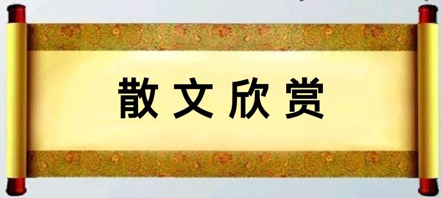 于公谨散文三篇/中华诗艺社黑龙江分社推荐(图4)