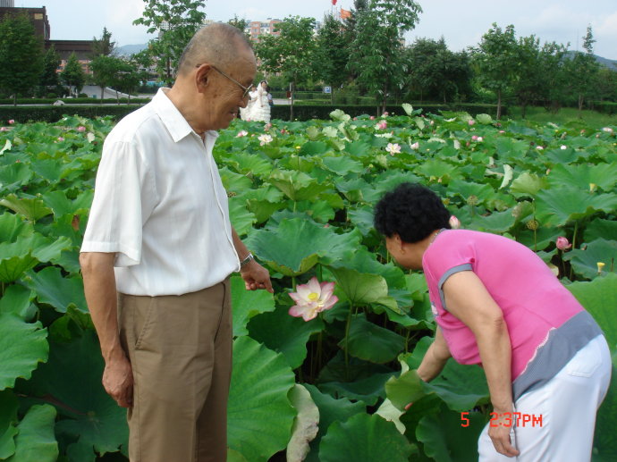 轮台子·老者赏荷吟（文/方立新）……莲叶之珠文学社（图4）