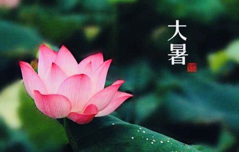 【海外诗译】精品双语朗诵《盛夏小诗三首》作者｜郑相豪、英译｜中权、审译&朗诵｜薇薇（图4）