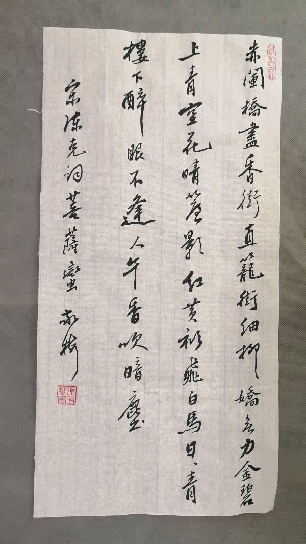 张敬梅《竹影横窗）∥书写宋词书法作品欣赏（图14）