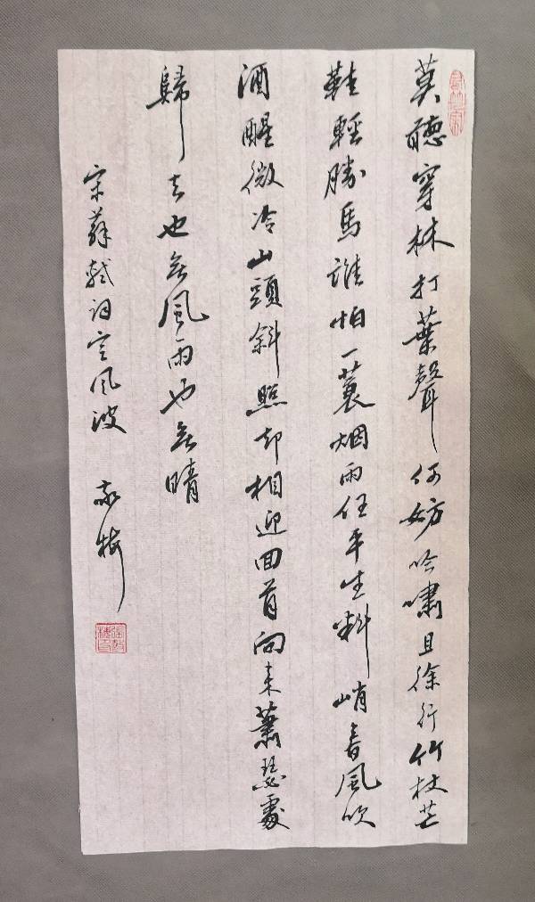 张敬梅《竹影横窗）∥书写宋词书法作品欣赏（图12）