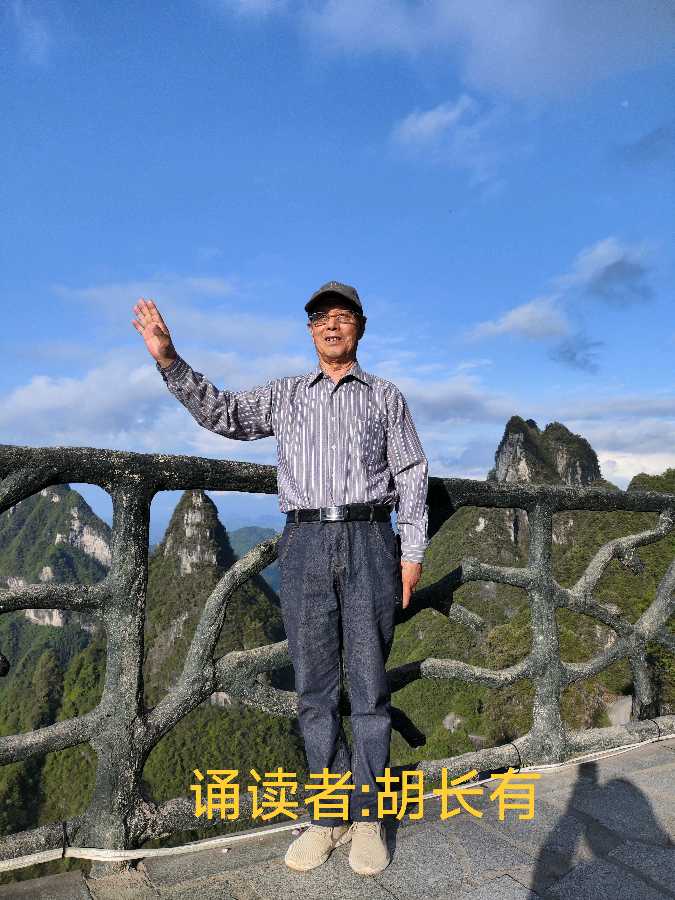 朗音团队庆祝八一建军节空中联欢会完美闭幕（图9）