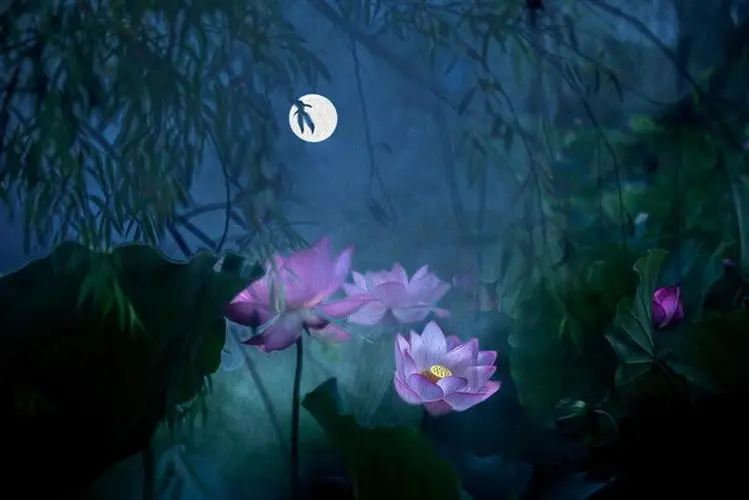 东方书剑的《七绝•月下荷塘》