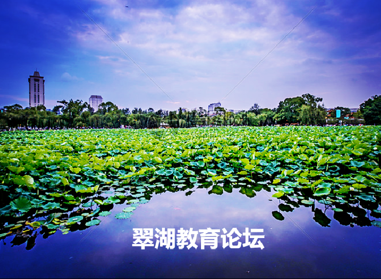 学后做•做中学•做即学——三湖教育线上论坛第17期精彩言论集(图3)