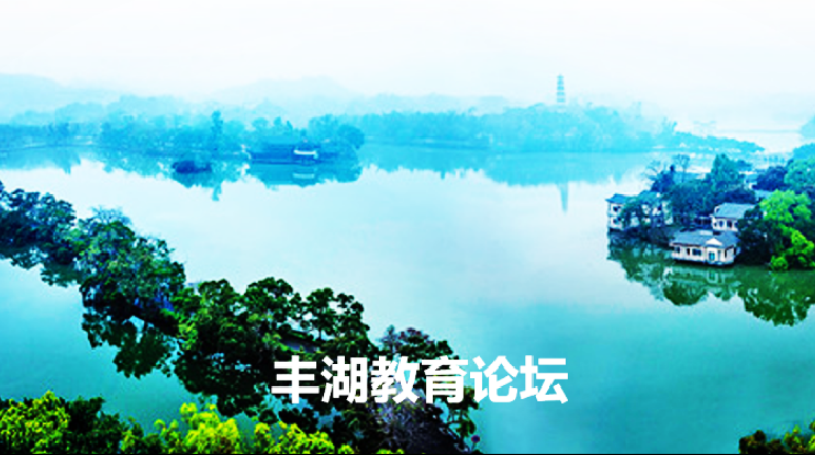 学后做•做中学•做即学——三湖教育线上论坛第17期精彩言论集(图4)