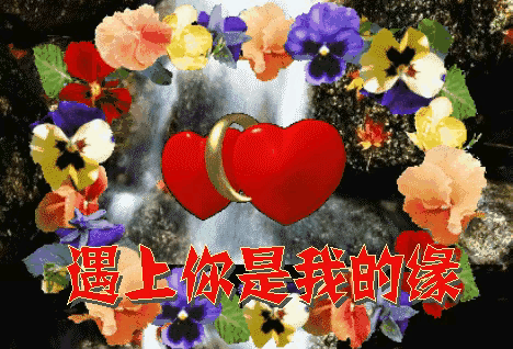 《有缘遇见你》作者:龙游天下 诵读:鸿文 [中国现代诗歌文化传媒]（图5）