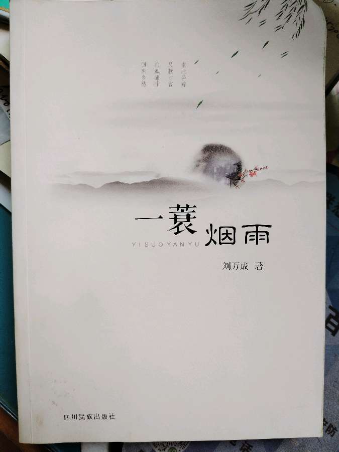 AI简评《一蓑烟雨》