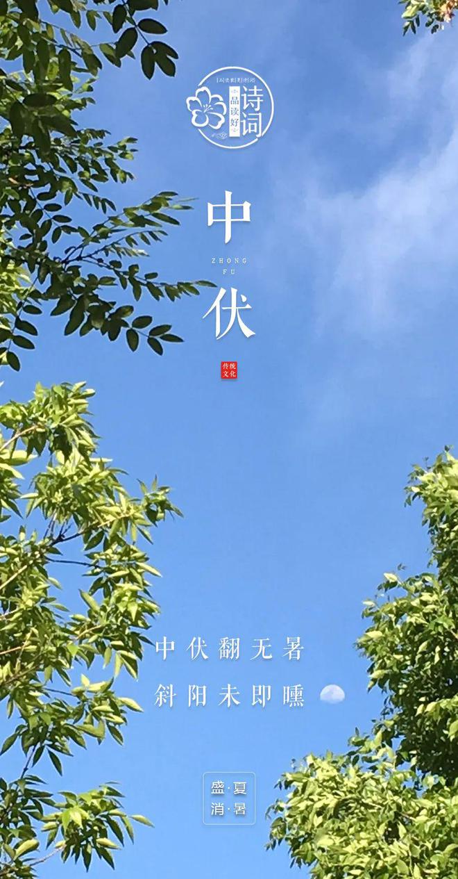 渔家傲-夏日情怀（外一首）词||旗袍（图17）