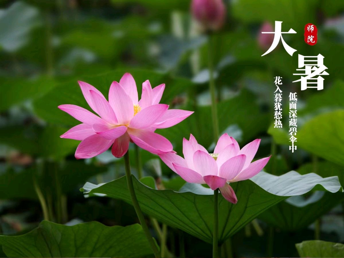《九江文学社：北京头条》【名家名篇】优秀诗人庞古洲先生律诗欣赏（图5）
