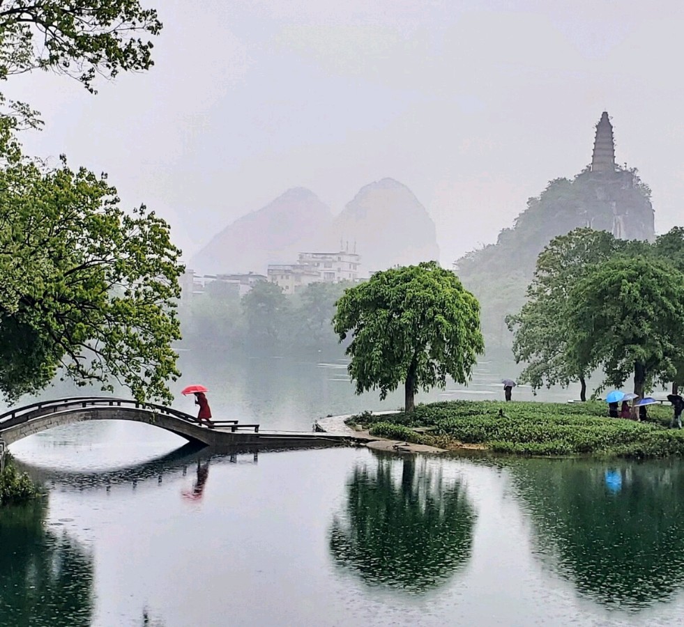 欣赏郑金波老师自由体诗·《夏日情深》（图4）