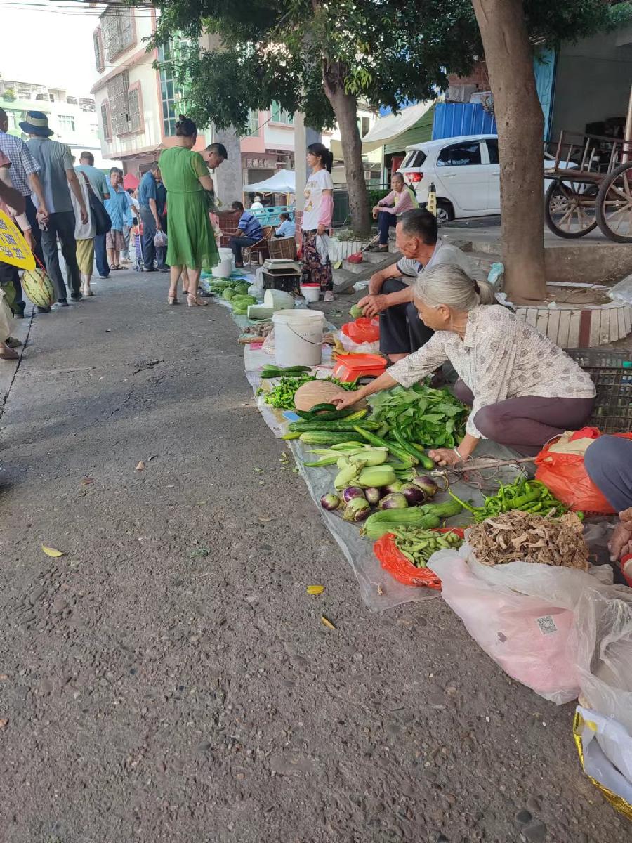 凤岗镇集市：繁荣与活力的交融～文||邹隆辉（图13）