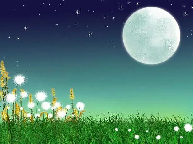 【新山东文学社】《夏夜情思》作者/王建生 主播/小小鸟(图5)