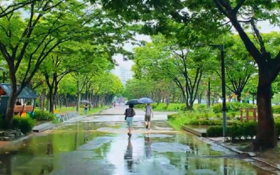 【新山东文学社】《有雨的日子》作者/姜文 主播/雨花石(图5)