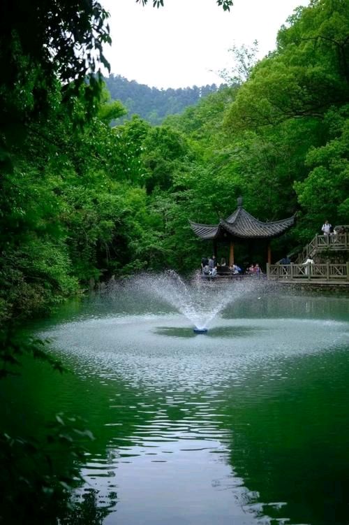 我从山中踏月而来 作者：草儿 朗诵：苏文戈（图3）
