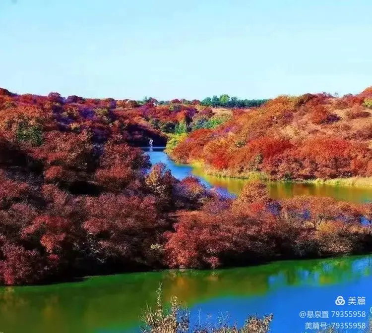 ［一个人的树洞］月亮湾的夜色（文/悬泉置）……莲叶之珠文学社（图2）
