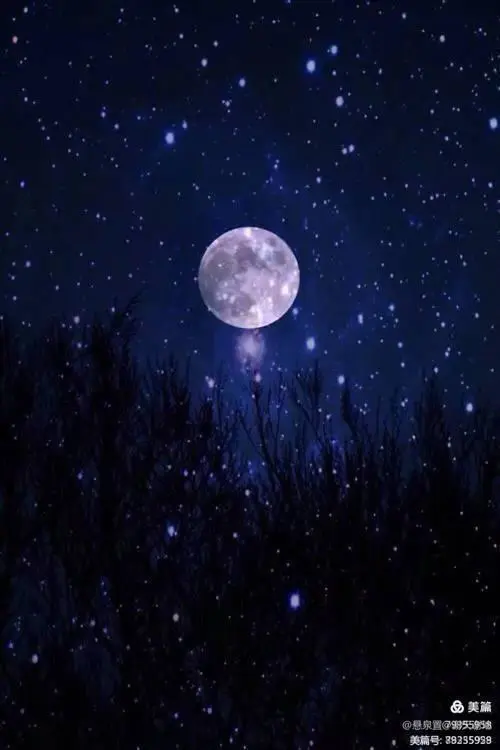 ［一个人的树洞］月亮湾的夜色（文/悬泉置）……莲叶之珠文学社（图17）