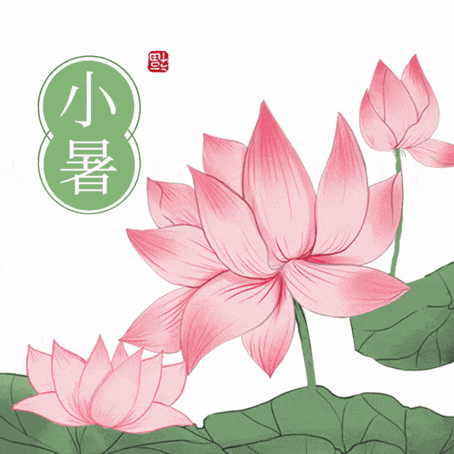 【紫罗兰文学社-木兰诗社】都刊第036期 ‖ 晚风拂面心神爽 明月悬空夜色娇(图6)