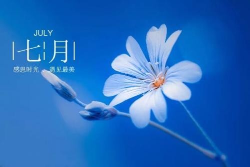 【紫罗兰文学社-木兰诗社】都刊第036期 ‖ 晚风拂面心神爽 明月悬空夜色娇(图18)