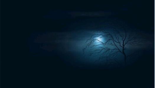 黑夜里的哑语文/林水火（福建）（图3）