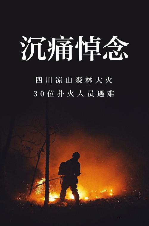 【小芹朗诵厅】作者/张建民 组诗五首 主播/赵淑芹（图12）