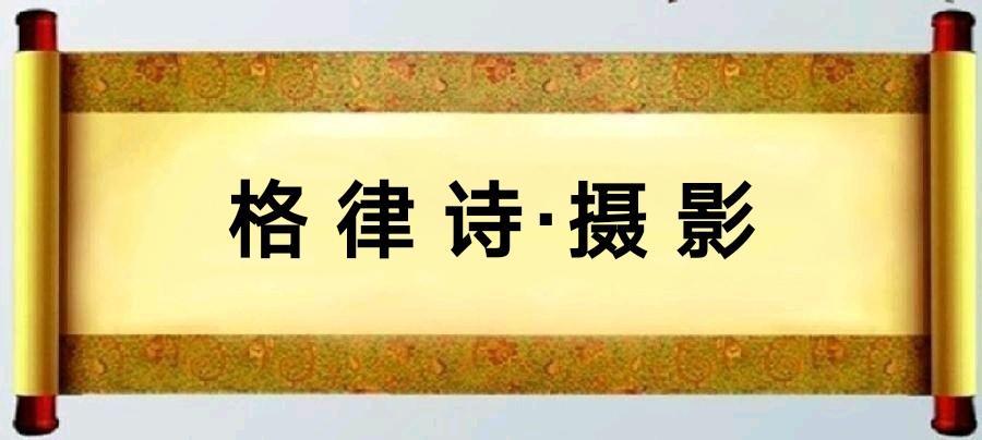 刘光华（重庆野布）:格律诗十三首/中华诗艺社黑龙江分社推荐（图3）