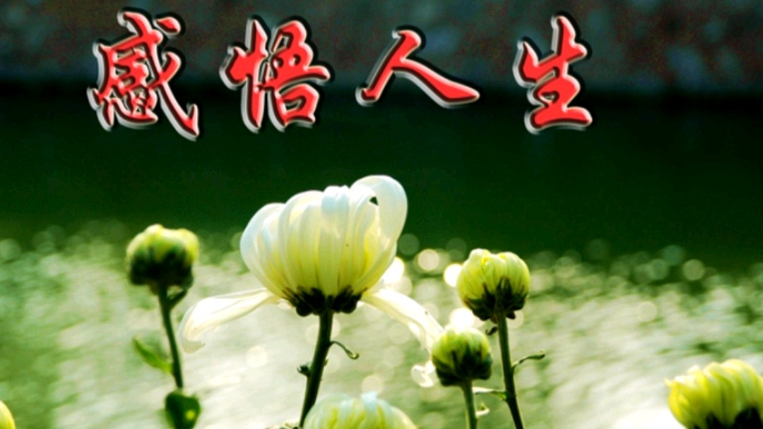 《九江文学社：北京头条》【名家名篇】秋歌（丘国华）先生近期佳作欣赏（图2）