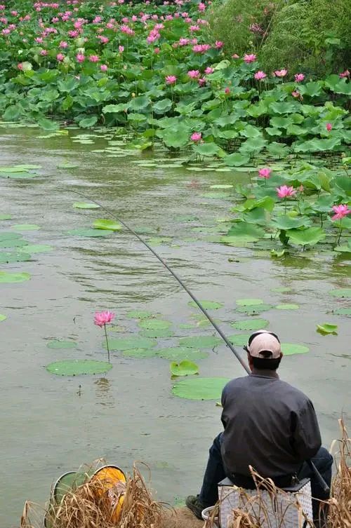 荐赏 缪浩然先生七律.大暑(组诗)/《新华文学社》个人专辑/编辑:文苑牧童/都市头条（图3）