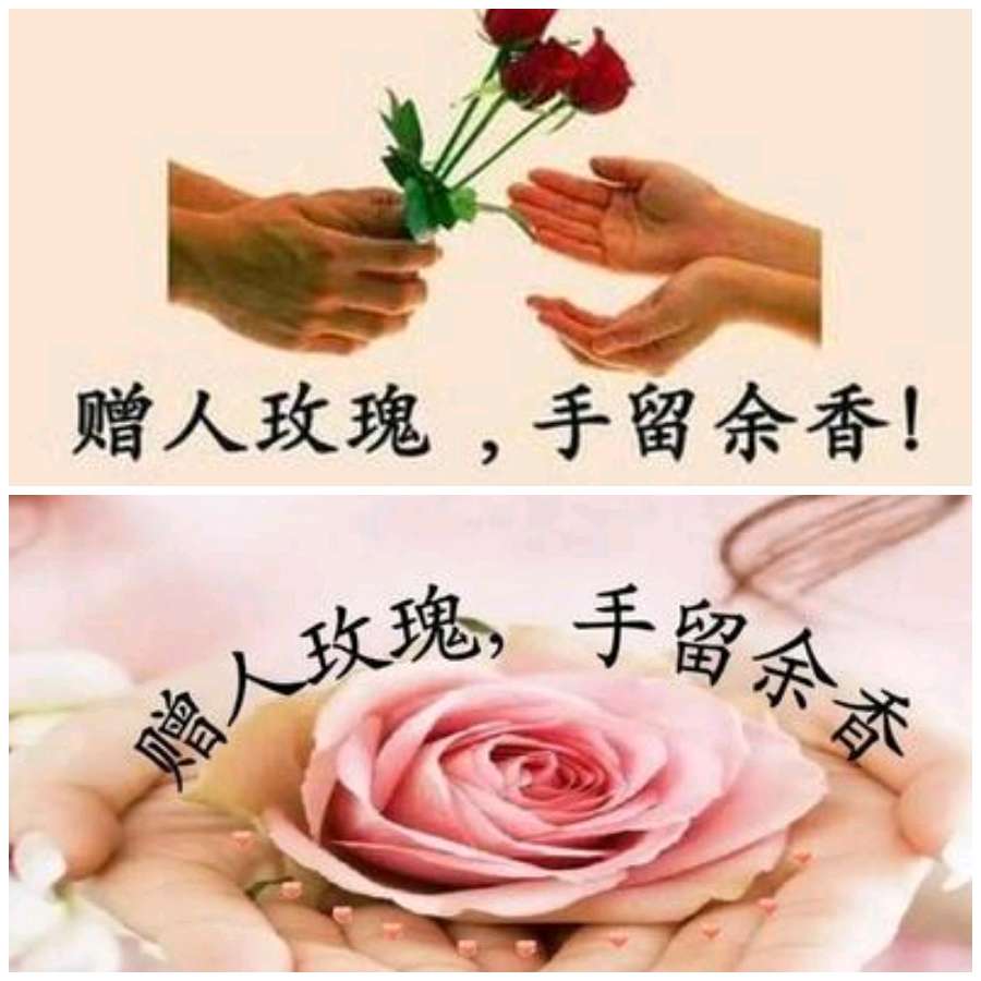 【重磅推出】薛有为//钦佩（图3）