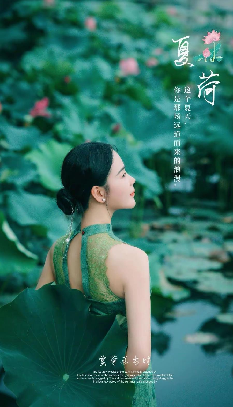 七绝-咏荷（外一首）诗||真诚（图9）