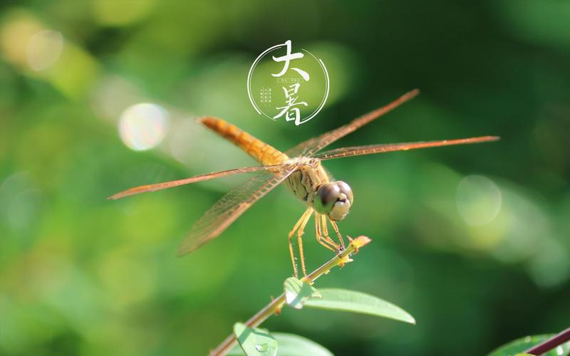 《许峰诗歌研究院》诗词歌赋精选【总第167期】（图5）