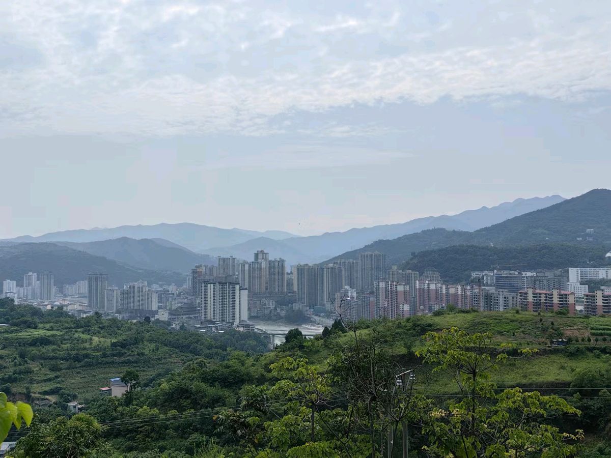 【荣耀中国】咏荷作者/田兴才（图4）