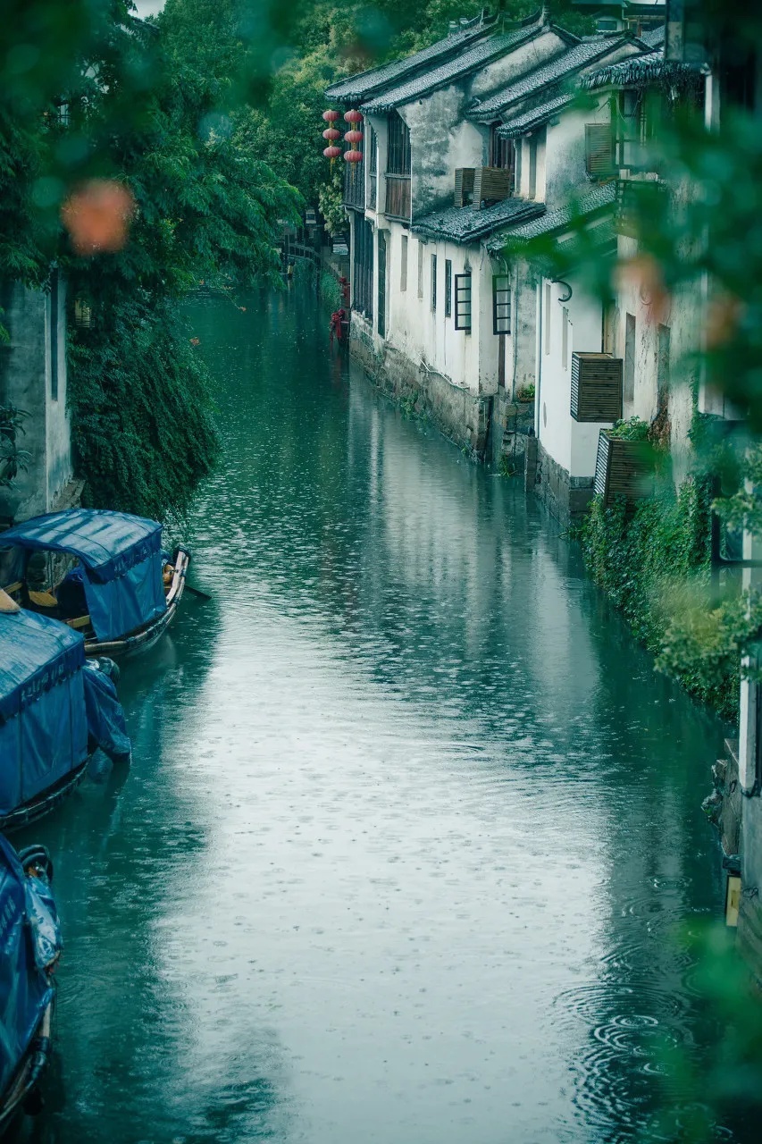 一场雨，惊艳了盛夏时光～文||旗袍（图17）