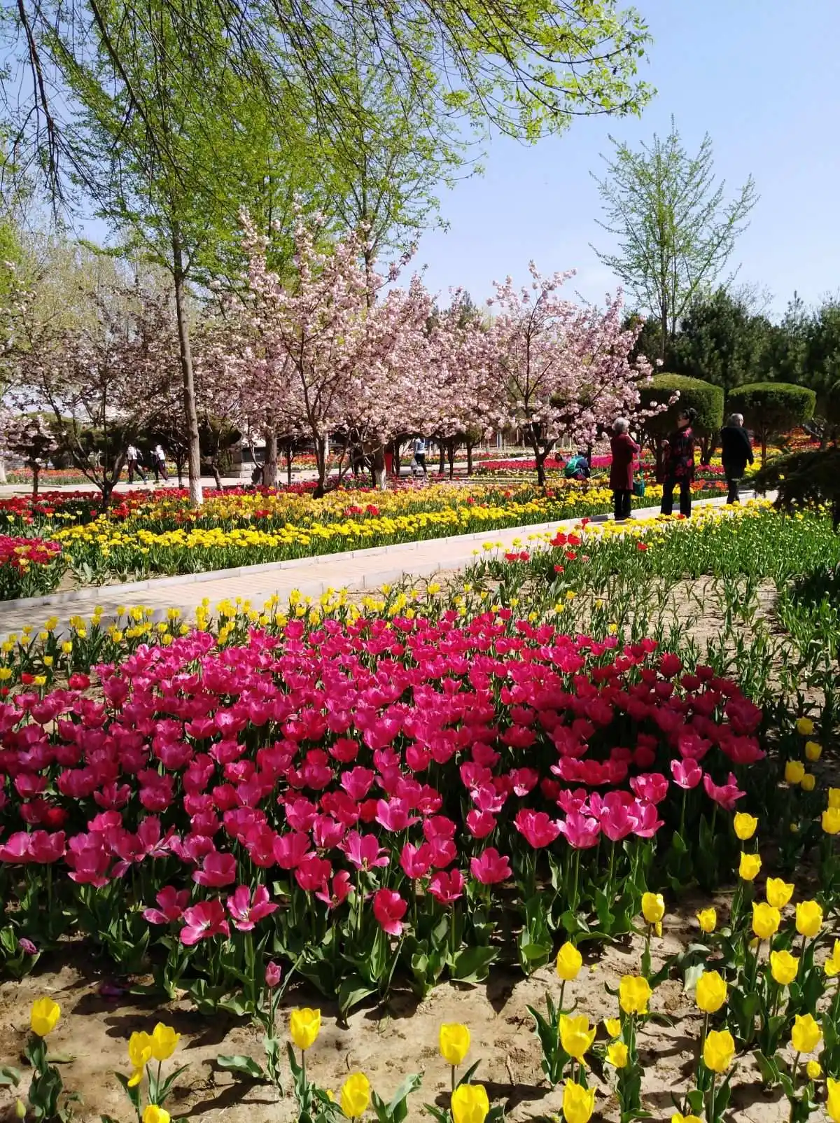 望花观瀑（外一首）诗||孙丙辉（图13）