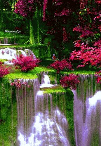 散文·花之恋 —李文元(图3)
