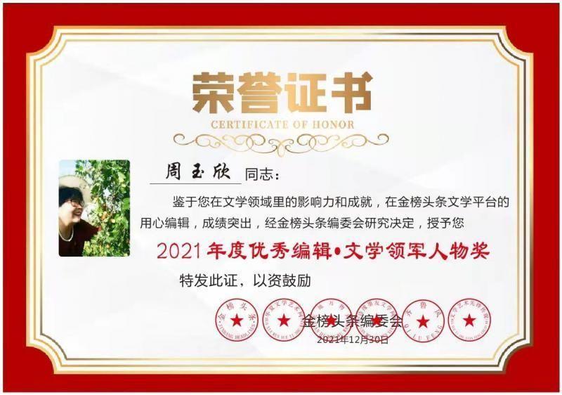 【齐鲁风文学】隆重推出德医双馨好医院《山东潍坊视康眼科医院》作者／周玉欣请君关注（图24）