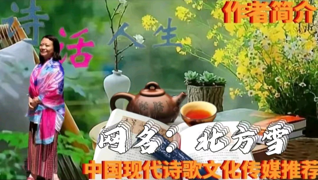 《一把旧琴》作者:北方雪 诵读:紫罗兰 [中国现代诗歌文化传媒]（图6）
